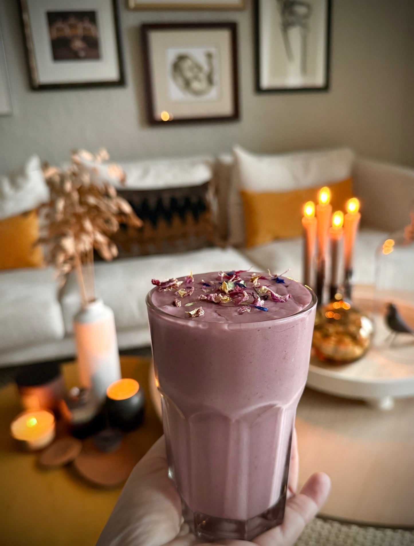The Shake Collection - Basis Bundle